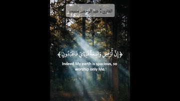 يا عبادى الذين آمنوا بصوت القارئ عبد الرحمن مسعد #راحة_نفسية #قرآن #عبدالرحمن_مسعد #قران_كريم #حالات