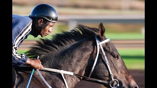 Thunder~Equine Music Video