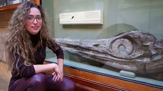 Curiosities of the Natural History Museum London - Ep 2 Mary Annings first Ichthyosaur & Plesiosaur