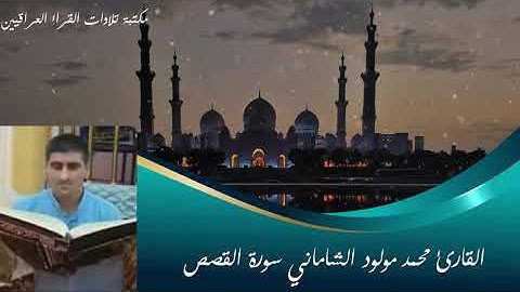 القارئ محمد مولود الشاماني سورة القصص