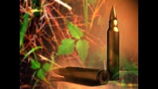 Man Who Died While Deer Hunting In Aitkin County Identified