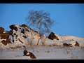 Лучшие работы о природе и животных фотографа Юрия Курынова. Часть 2.