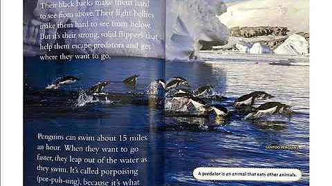 Penguins - by Anne Schreiber (Read Aloud)