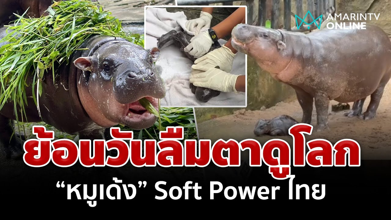 เปิดคลิปวันลืมตาดูโลก 