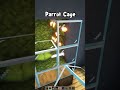 Minecraft Parrot Cage