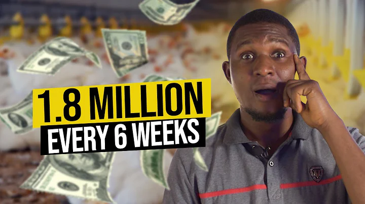 How Poultry Farming Brings Him 1.8 MILLION Every 6 Weeks in Nigeria
