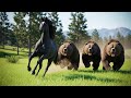 Black Arabian Horse vs 3 Grizzly Bears – Wild Chase in Open Grasslands