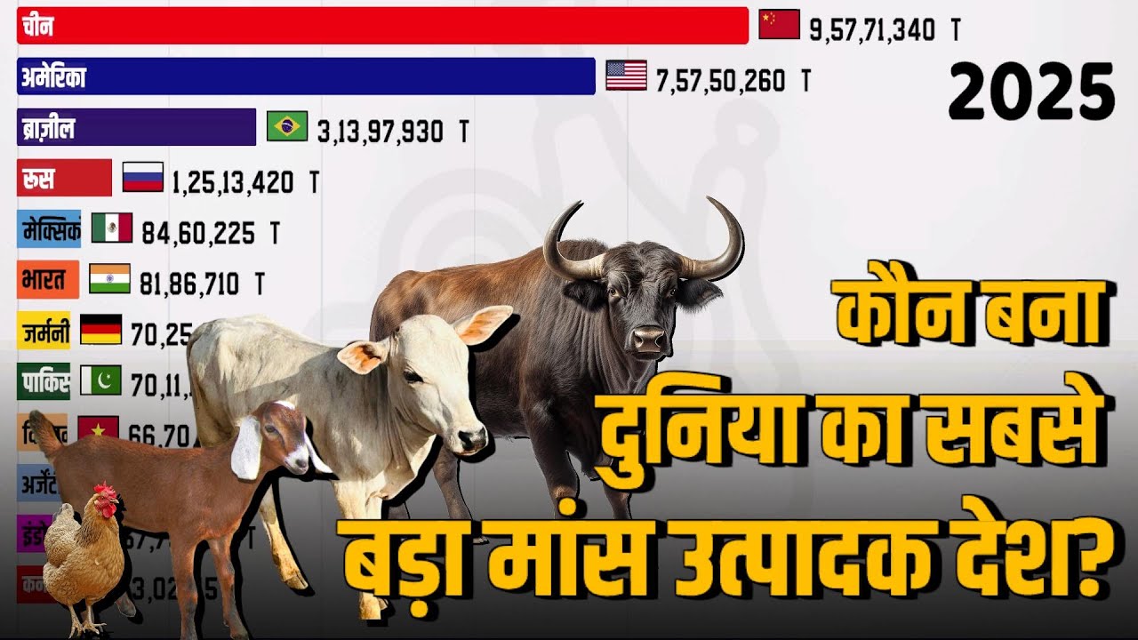 देशवार मांस उत्पादन | Meat Production Country Wise | 2001 - 2025 | 