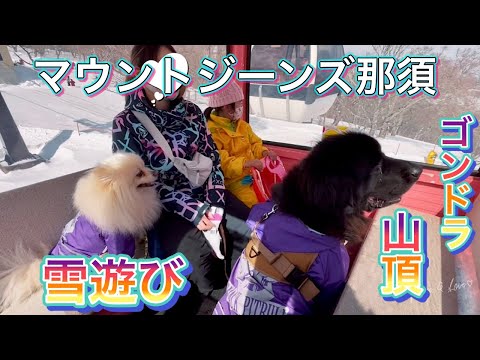 今年も雪遊び！犬とゴンドラに乗れるマウントジーンズ那須
