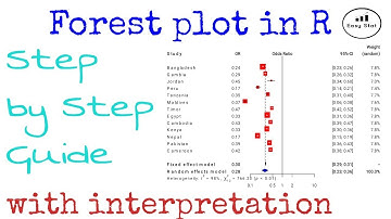 Forest plot in R | English || by Easy Stat