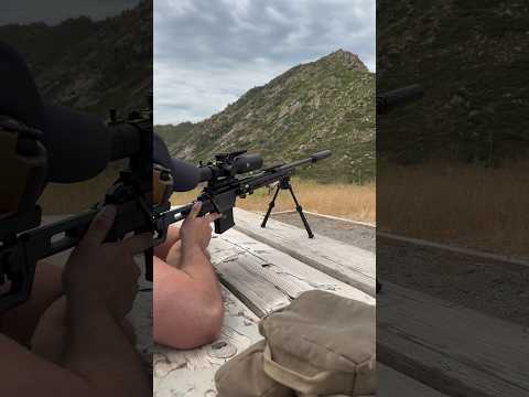 6mm creedmoor is a hammer