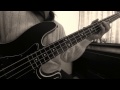 ベースで弾いてみた。『 River / ACIDMAN 』2 bass cover