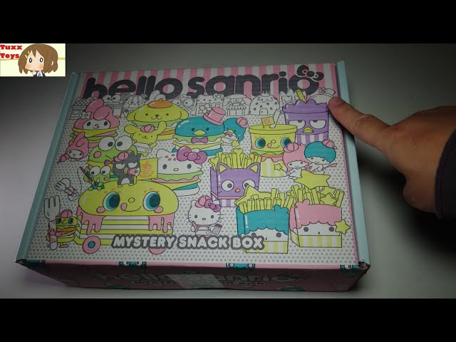 Sanrio Mystery Snack Box