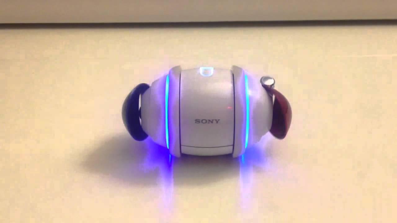 Shiny Rolly Sony Rolly In Motion Game _ Sony Rolly Music Robot – ZRYT