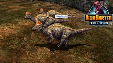 Dino Hunter Deadly Shores REGION 4 (iOS, Android) Gameplay - Part 20