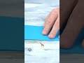 Folding paper can get you till Moon? 😮