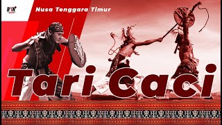 Tari Caci | Tarian Nusantara asal Flores Nusa Tenggara Timur |  Perayaan HUT PDI Perjuangan ke-48