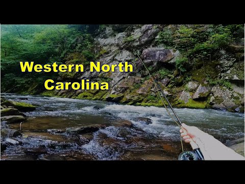 Such a Cool Place to Fly Fish!!  Fly Fishing Western North Carolina! 