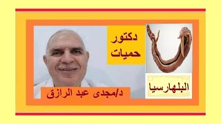 البلهارسيا إحذر دم فى البول أسبابها ومضاعفاتها وعلاجها  SCHISTOSOMIASIS, BILHARZIASIS