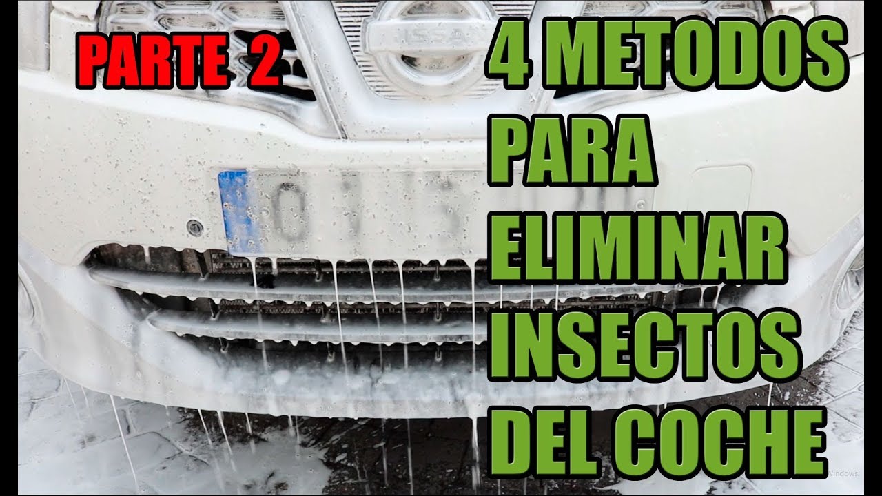 Cómo limpiar los mosquitos del coche - Quimsa ITW