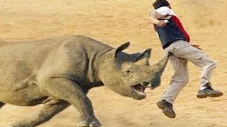 Top 10 Most Dangerous Animals In The World