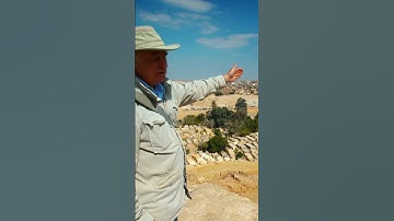 Did You Know the Pyramids in Egypt Were Once Waterfront Property?? 🌊 | Unearthed | Science Channel