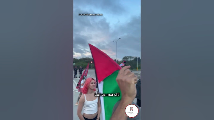 Pro-Palestine Protesters Arrested After Blocking an Israeli Cargo Ship in Sydney