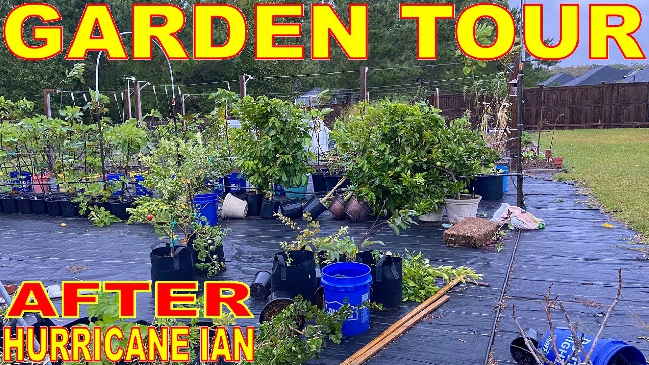 Garden Tour AFTER HURRICANE IAN! See The Aftermath Of The Storm Damage