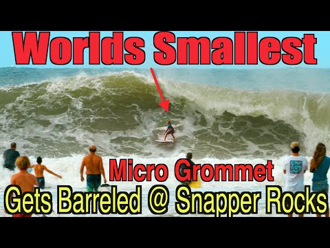 Worlds Smallest Micro