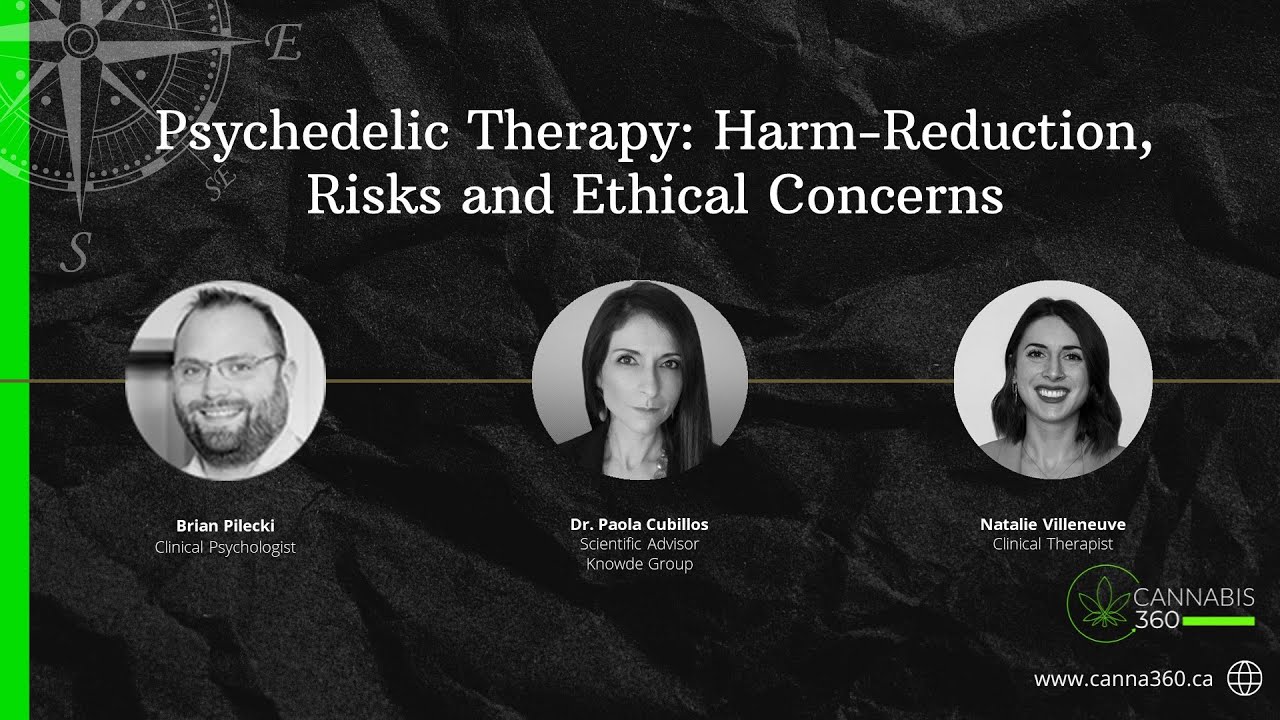 Psychedelic Therapy: Harm Reduction, Risks and Ethical Concerns