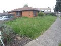 EXTREMELY Overgrown Lawn (Jungle in the Suburbs) - Part One