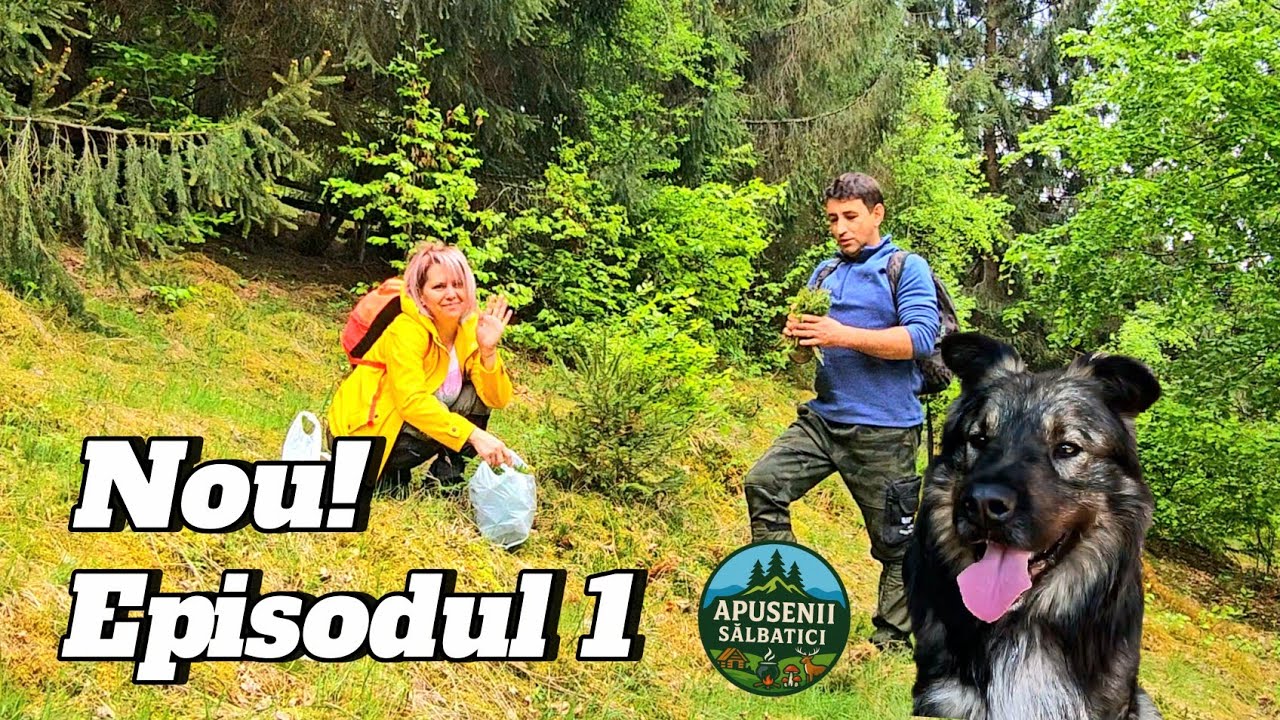 Ce Am Găsit Într-o Șură Părăsită din Munții Apuseni 🏔️ | Adrian și Firiceală – Ep 1