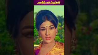 Actress Vanisree Gari Family