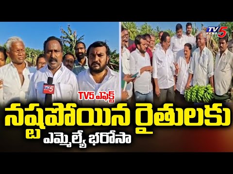 Montha Toofan Effect కోనసీమలో తుఫాన్ బీభత్సం MLA Giddi Satyanarayana Visits Ainavilli Mandalam | TV5 - TV5NEWS