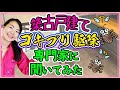 戸建てのゴキブリ駆除について、専門家に聞いてみた！
