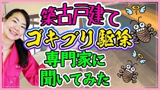 戸建てのゴキブリ駆除について、専門家に聞いてみた！