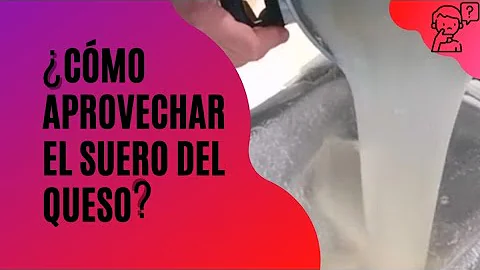 Recetas de Cocina, Como aprovechar el suero de leche. Usos del Suero de leche casero