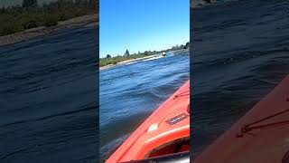 Al Agua Pato! Caida en las aguas del BioBio #shorts #kayak #chile #riobiobio