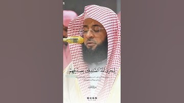 { من المؤمنين رجال صدقو ماعاهدو الله عليه } تلاوة خاشعة للشيخ بدر التركي | سورة الأحزاب