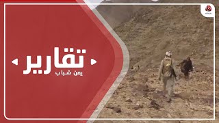 مليشيا الحوثي الإرهابية تنتحر على أسوار مأرب