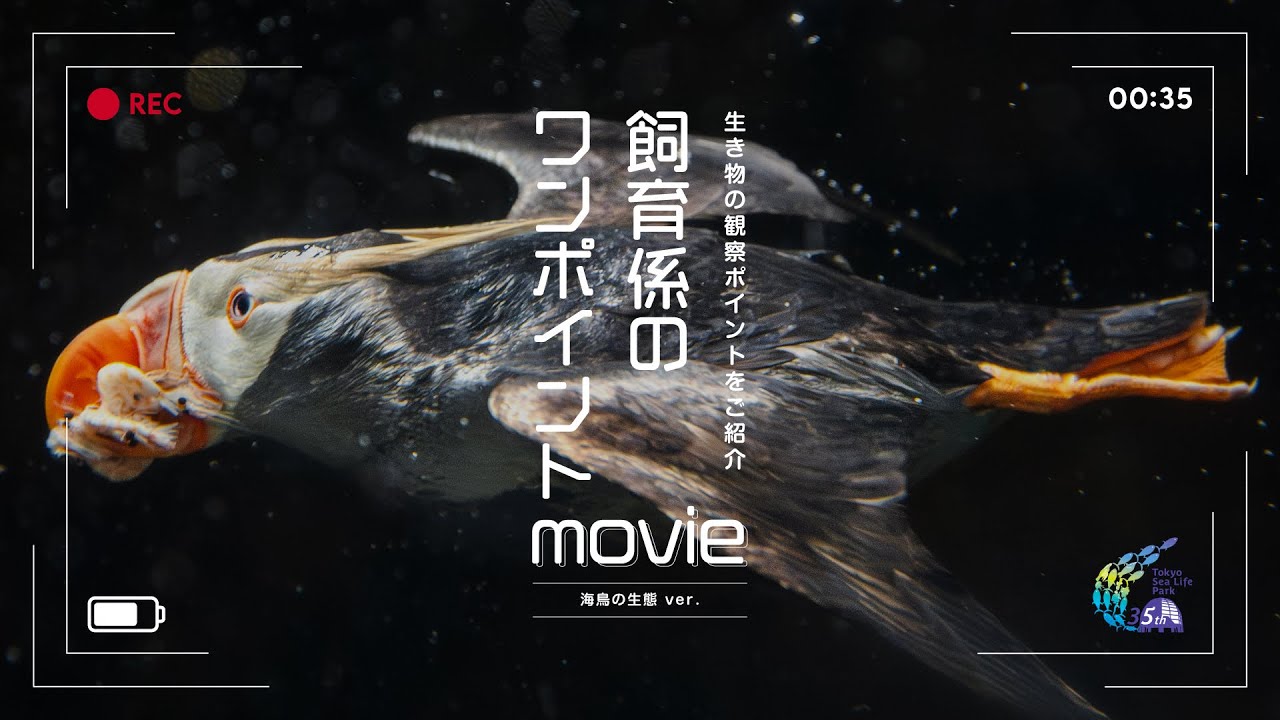Avian エイビアン メディスン 鳥類臨床のすべて エイビアン.メディスン 鳥類臨床のすべて（: Avian メディシン