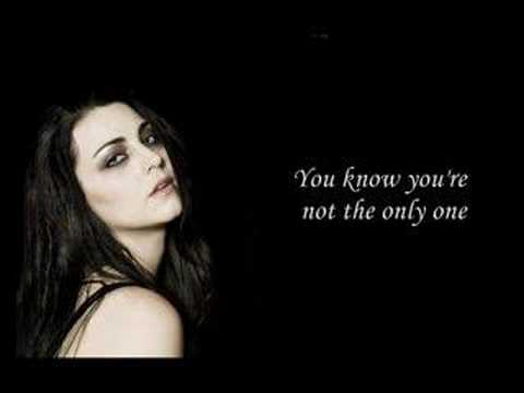 The Only One- Evanescence- The Open Door