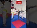 Taekwondo front hook kick tutorial shorts status