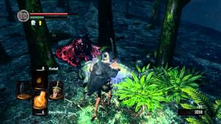 Dark Souls - Frog-Ray Launching