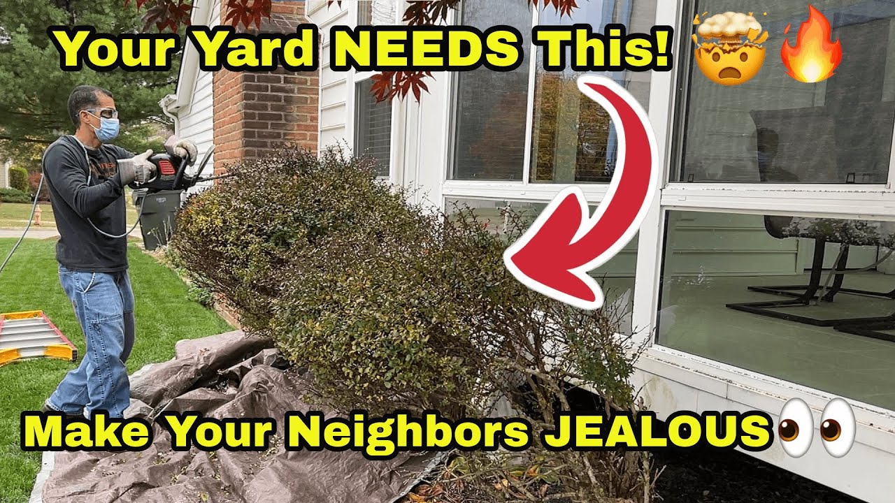 This Simple Spring Lawn Prep Will Make Your Neighbors JEALOUS! - YouTube