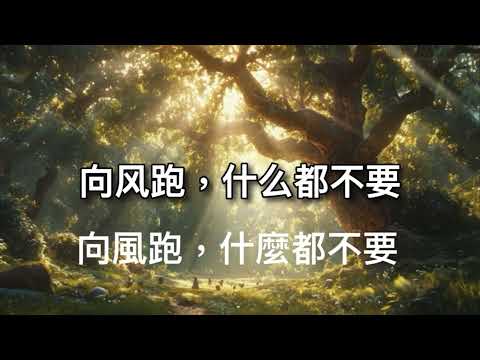 《Run Wild 向風而野》(向风而野)(中文版)(繁簡中文歌詞）