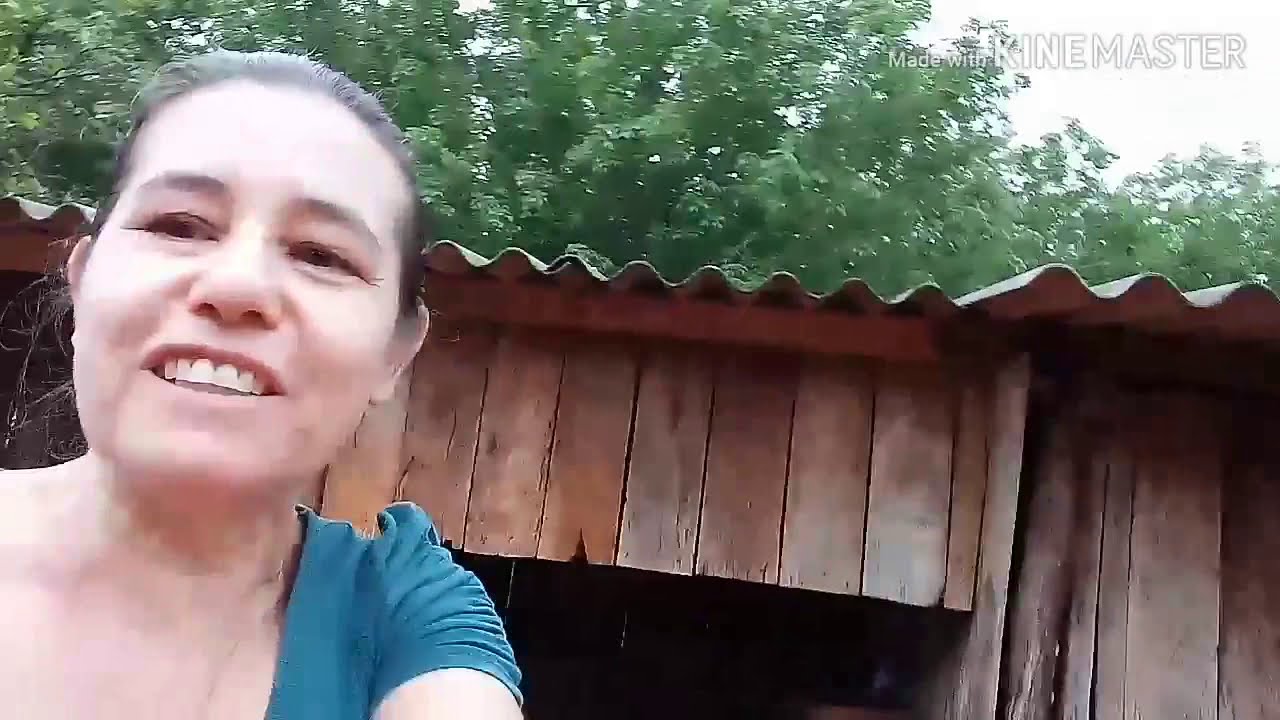 Minha criação de galinhas. Todas as etapas.