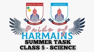 Class 5- Summer Task (Science)
