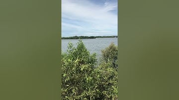 Cần bán đất đùng. P kim dinh. Tp Bà Rịa