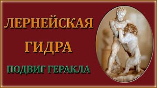 Лернейская гидра (подвиг Геракла)